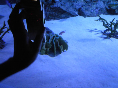 kyorokyorro's profile picture. 服好きからオシャレな人になりたい。他に読書好き。森博嗣/西尾維新/海堂尊/曽田正人好き。ダンスも好き