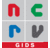 ncrvgids's profile image