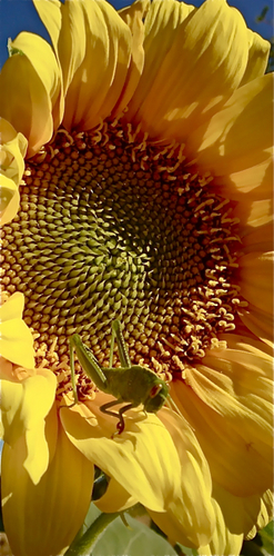 HUURhuisALGARVE's profile picture. Algarve, Portugal. LET OP, wij brengen huurders en verhuurders met elkaar in kontakt. Voor vakantie of voor langere periode. Leuk toch? http://t.co/KZVHV6Y1Ja