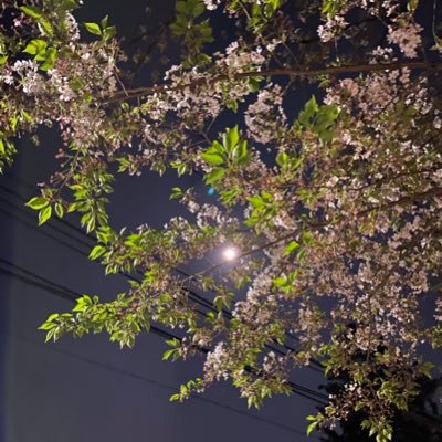 HUCMTH's profile picture. 💩