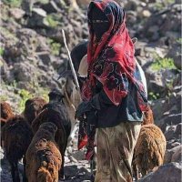 نبيله الشرجبي (@nabilaalsharg) 's Twitter Profile Photo نبيله الشرجبي (@nabilaalsharg) 's Twitter Profile Photo