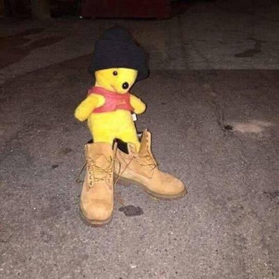 idk74592701's profile picture. I hate social media but here I am