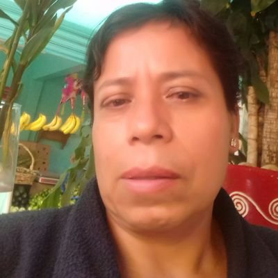 México 📌
💜💜💚💚
