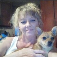 sue purl - @suepurl Twitter Profile Photo