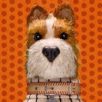 エスシーニさんのプロフィール画像