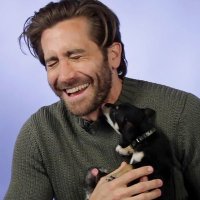 Jake Gyllenhaal loves you (@jakelovessyou) 's Twitter Profile