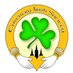 Coventry Irish Soc (@coventryirish) Twitter profile photo