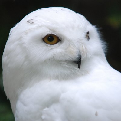 mak_goto's profile picture. 人間文化研究機構 国立歴史民俗博物館 准教授。総合資料学という歴史的資料のデジタル化による高度研究の推進などについて研究しています。アイコン写真：CC BY-SA 2.5（by https://t.co/aWO659n9n8.）