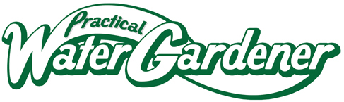 PWGMagazine's profile picture. 