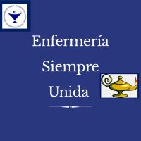 Gremio de Enfermería Chile y el Mundo(@Enferm_Chile) 's Twitter Profileg