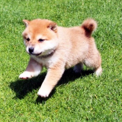 fxを副業で8年ほど国内BOも4年やらせていただいてます! 今は海外fxでハイレバトレードがメイン です笑 ハイレバの楽しさをたくさんのみなさんに知っていただきたいです笑