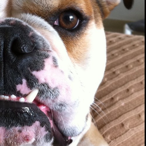 gonzalri's profile picture. 