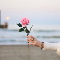 Zahraa kazim (@kazimzahraa) 's Twitter Profile