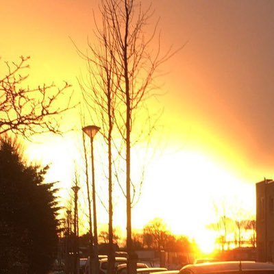 AeroTimber's profile picture. Dutch, long term investor. Fascinated by high quality projects that transform the (digital)world we live in.