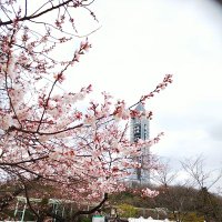 thinkofme (@junkurashi) 's Twitter Profile