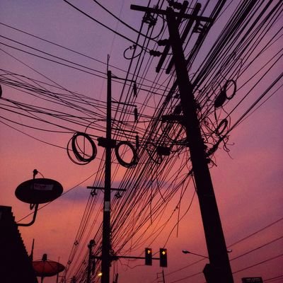 dolphinz_nn's profile picture. #dek63