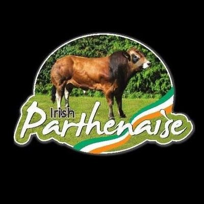 Irish Parthenaise