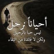 mohammed (@mm9663) 's Twitter Profile Photo