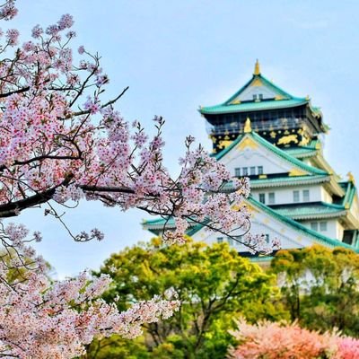 k3zAE6oY95aMUeV's profile picture. 