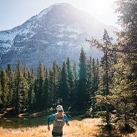 Andrea Huser (@andreahuser) 's Twitter Profile