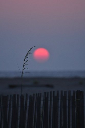 MyrtleBeachvi's profile picture. 