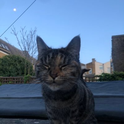 Baunj's profile picture. 