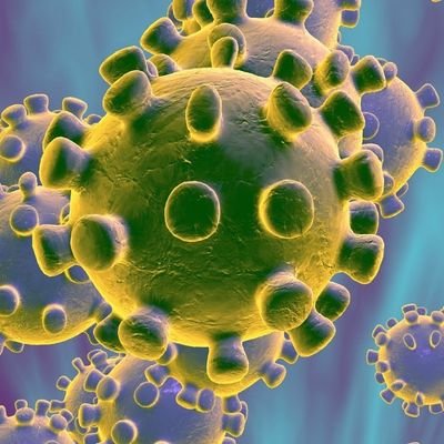 pandemia507's profile picture. aburrido en casa