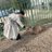 み の りのアイコン