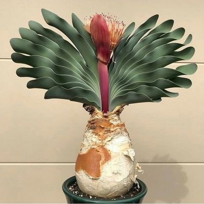 hiburankita_com's profile picture. Out Of The Box Thinking