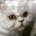 Burak (@denise35001300) Twitter profile photo Burak (@denise35001300) Twitter profile photo