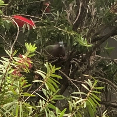 blackfrost17's profile picture. 