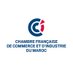 CFCIM (@cfcim1) Twitter profile photo CFCIM (@cfcim1) Twitter profile photo