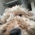 Migeum Park Boggs (@ccccccccfdtrxcg) Twitter profile photo Migeum Park Boggs (@ccccccccfdtrxcg) Twitter profile photo