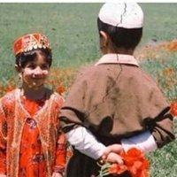 bê welât (@ratwanf) 's Twitter Profile