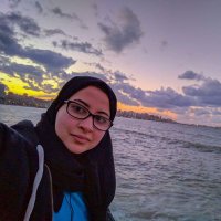 Nermin Badwi (She/Her) (@nermin_badwi) 's Twitter Profile Photo Nermin Badwi (She/Her) (@nermin_badwi) 's Twitter Profile Photo