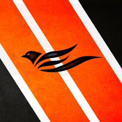 TeamBlackBird_'s profile picture. French Esport Team. #FlyHigher Contact:TeamBlackBirdEsport@gmail.com Partners: @OneXWear