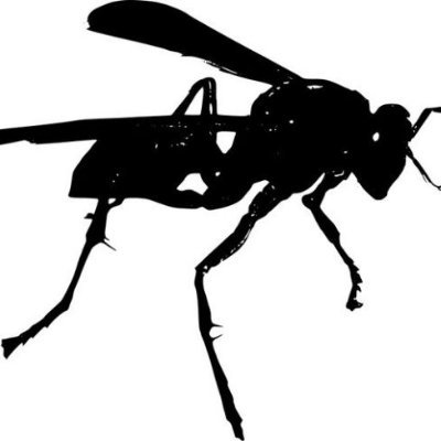 @predatorywasp_