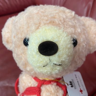 仕事も趣味も🚗！！朝苦手でマイペース🐻ラーメン好き🍜愛犬は常に舌出てる🐶ボーダーコリーのレオ♂