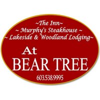 At Bear Tree (@atbeartree) 's Twitter Profile