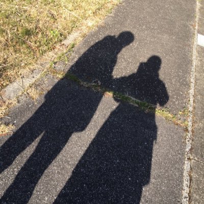 定期的に横須賀線を許さないbotになる可能性があります。