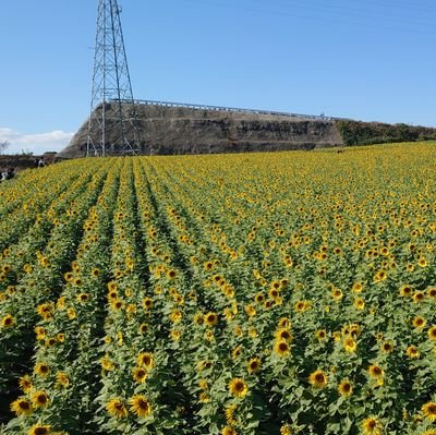 sayatora0826's profile picture. 修羅の国で勤務医として誠意勉強中のアラサー歯科医師
ゲーム好きです！🎮️