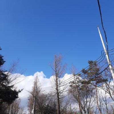 무민さんのプロフィール画像