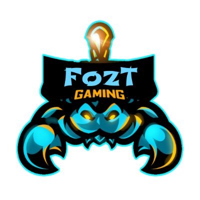 Professional E-sports organization | Established 2014, rebranded 2020 | Business mail: foztgaming@gmail.com