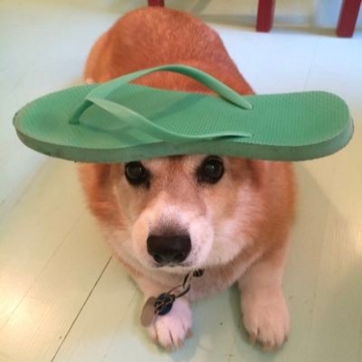 Kapkeisu's profile picture. mid