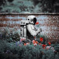 Birisi (@semihamelek1) 's Twitter Profile