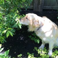 Christine (@chr1sav1) 's Twitter Profile