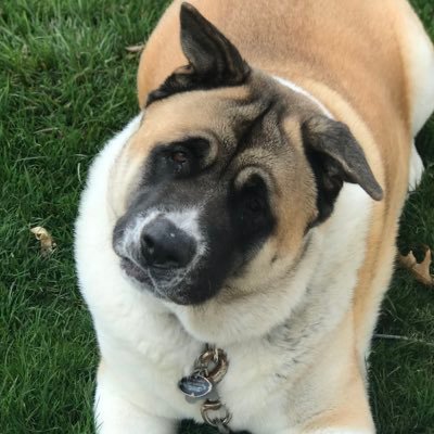 dPOTTER_12's profile picture. Health/PE educator, Sources of Strength Advisor