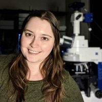 Tara Little, PhD - @Tara_Little01 Twitter Profile Photo