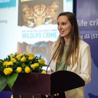 @UNODC | Kyiv-based | organized crime | crimes that affect the environment | views my own