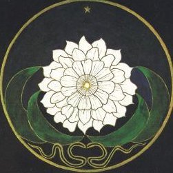 JTrespies's profile picture. que es lo que es